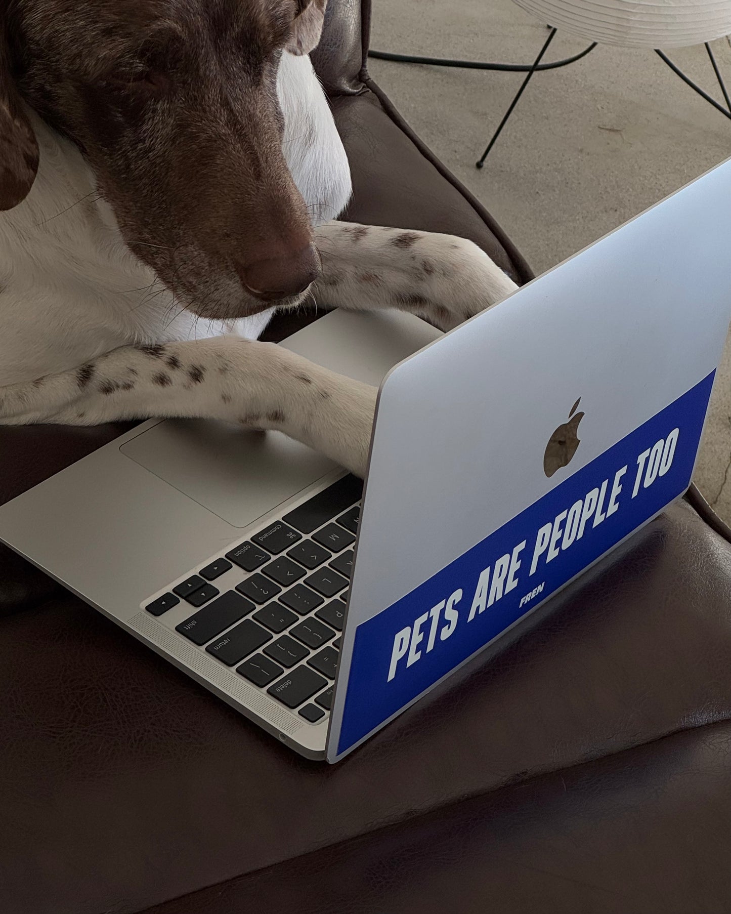 Bumper Stickers