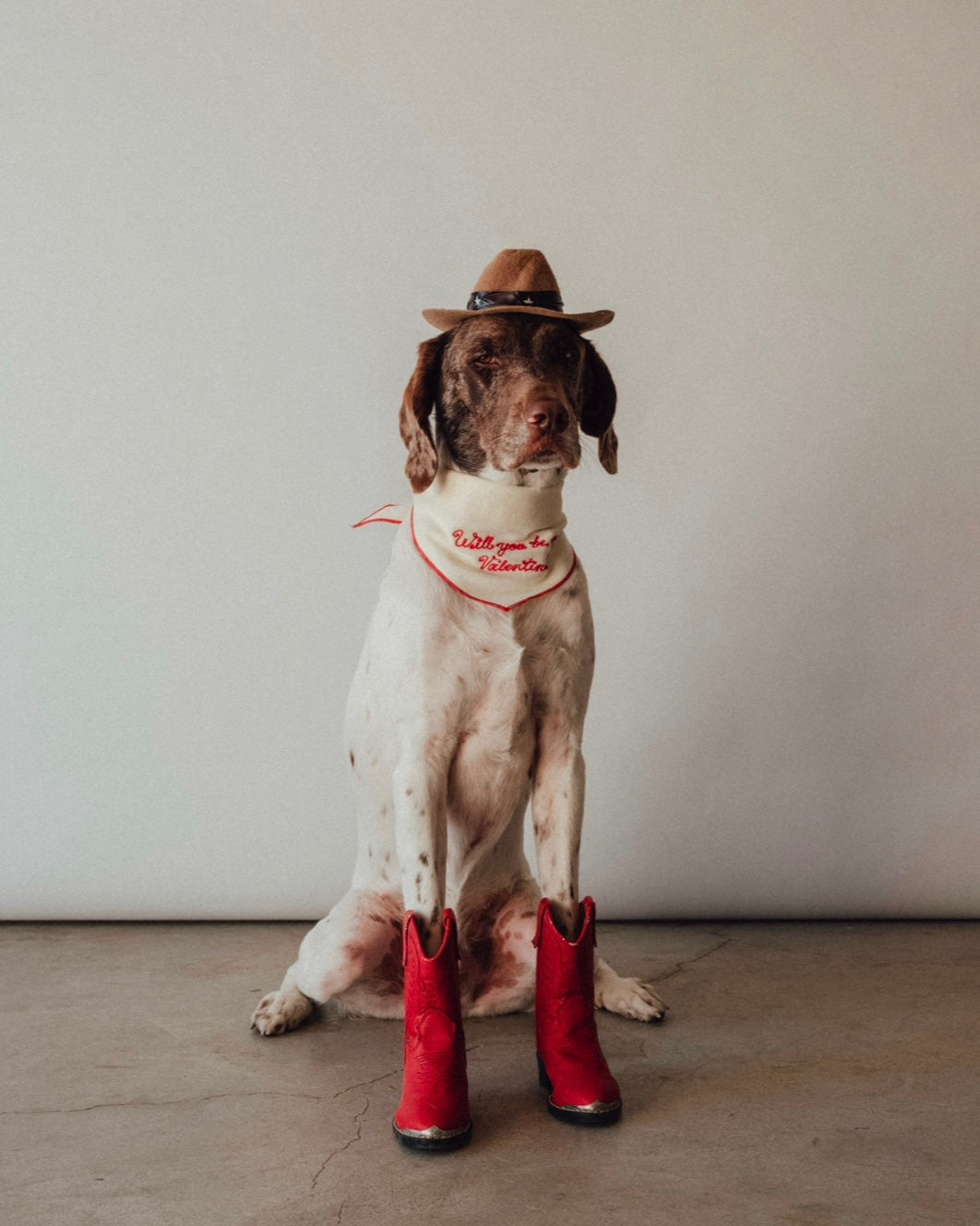 The Fren Bandana - For the love of dogs