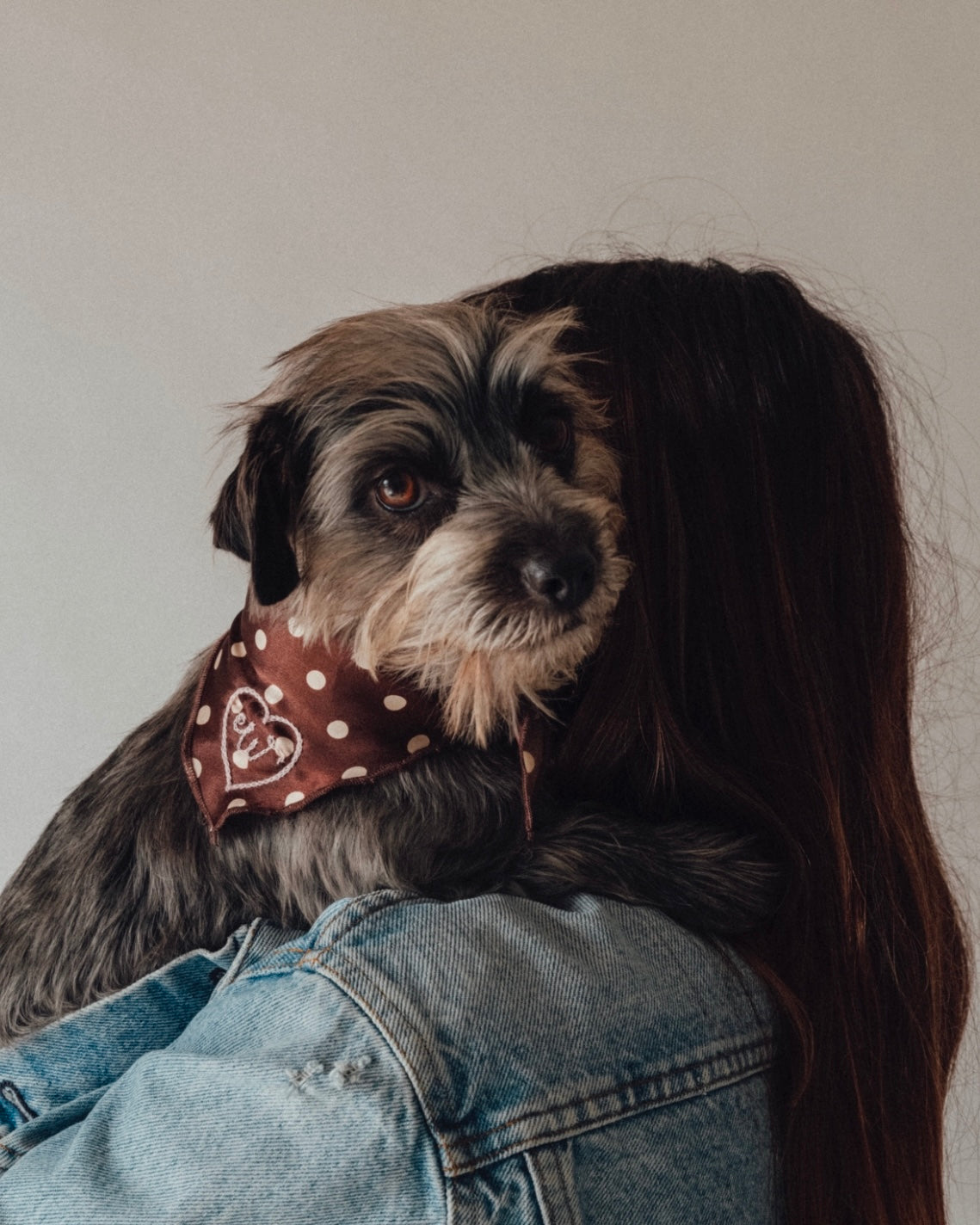 The Fren Bandana - For the love of dogs