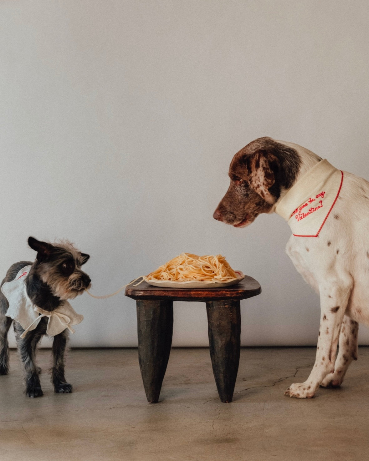 The Fren Bandana - For the love of dogs