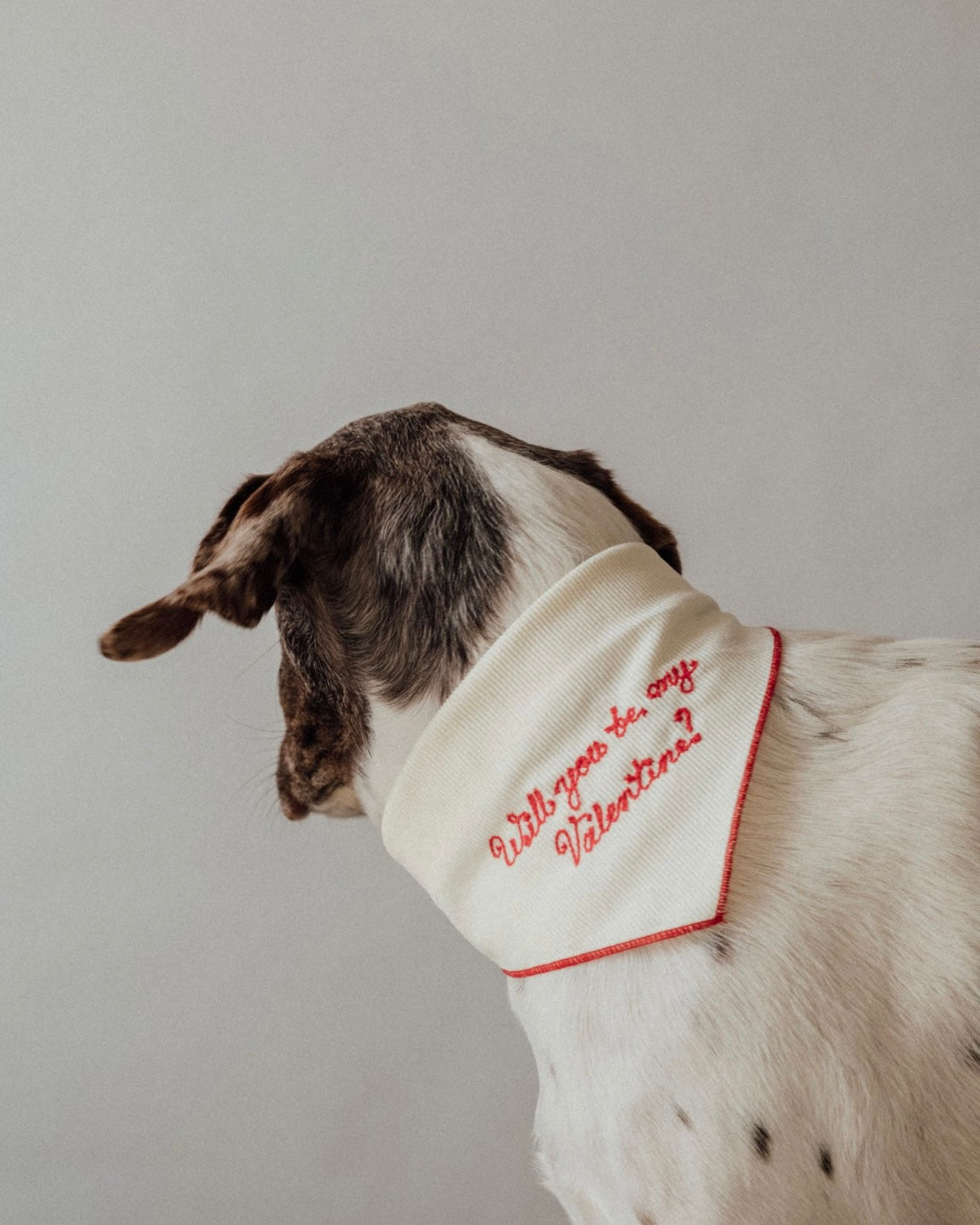 The Fren Bandana - For the love of dogs