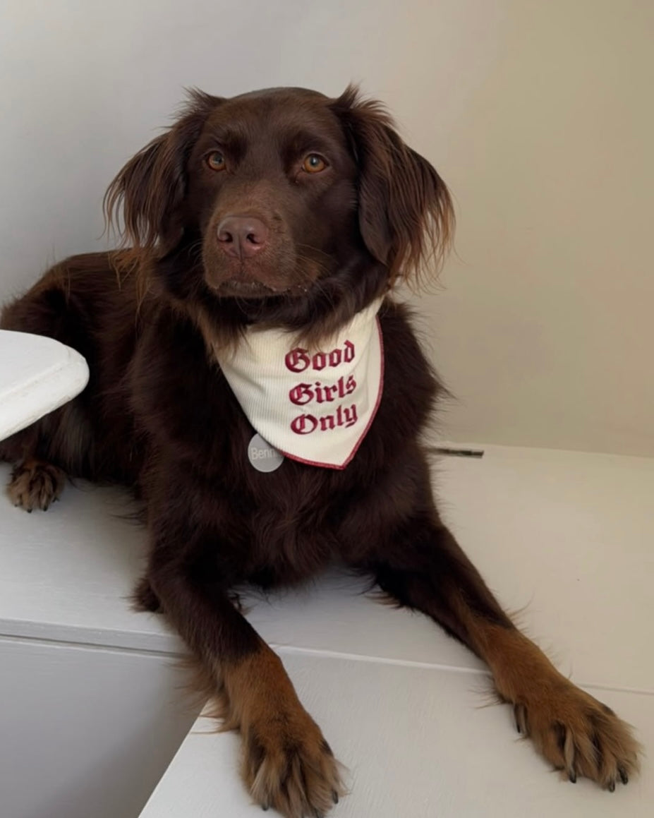 The Willie Bandana - For the love of dogs