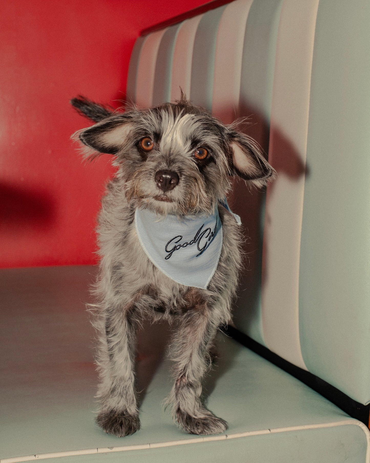 The Fren Bandana x Monty's