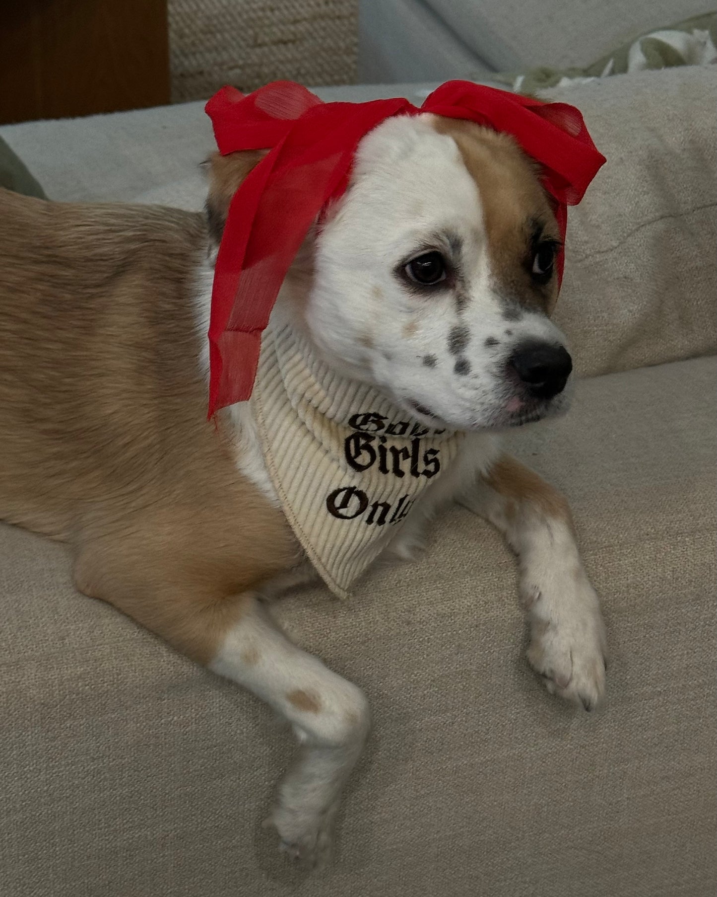 The Willie Bandana