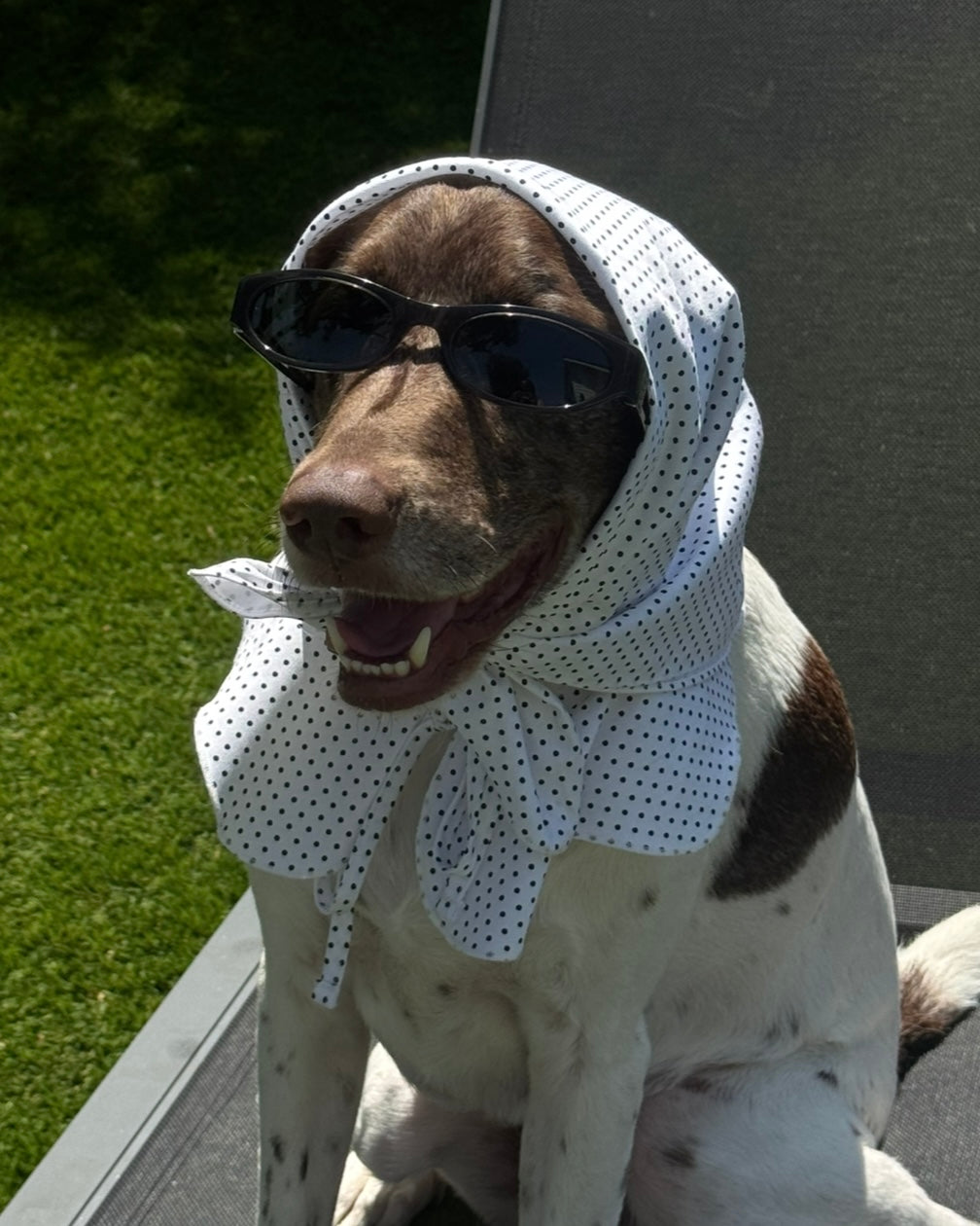 The Wanda Collar- Dottie