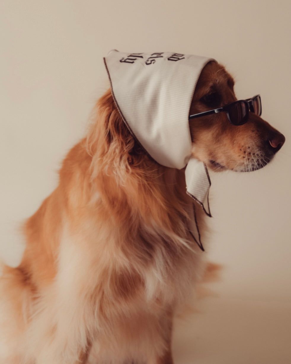 The Indie Bandana