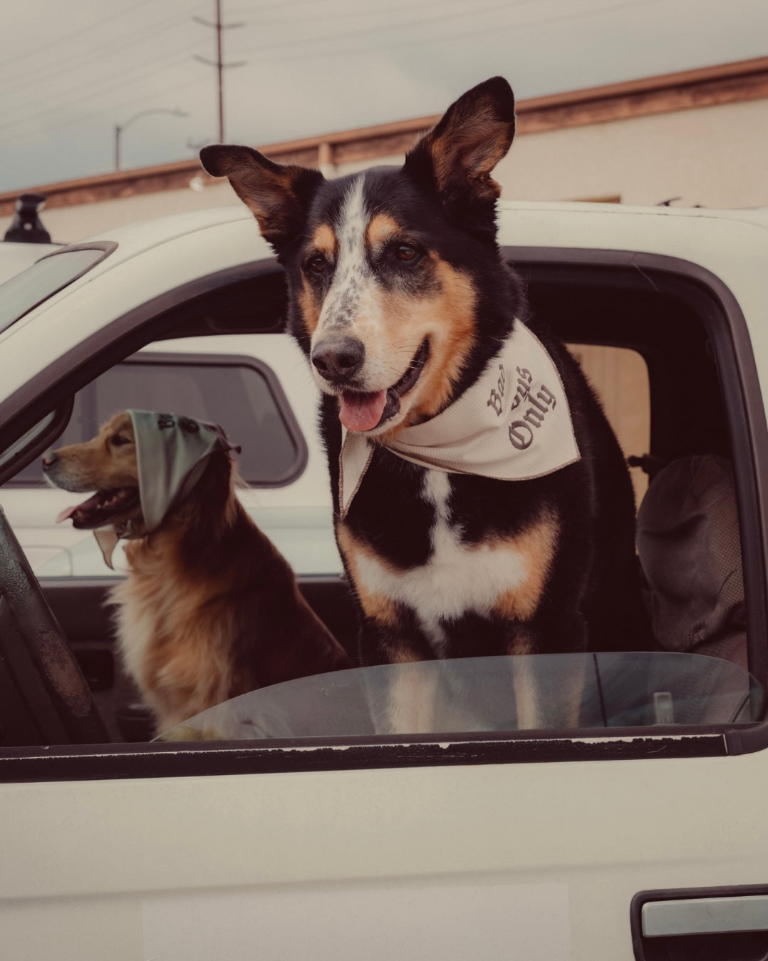 The Indie Bandana