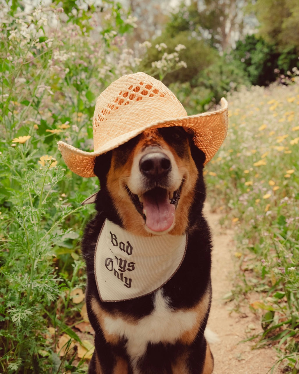 The Indie Bandana