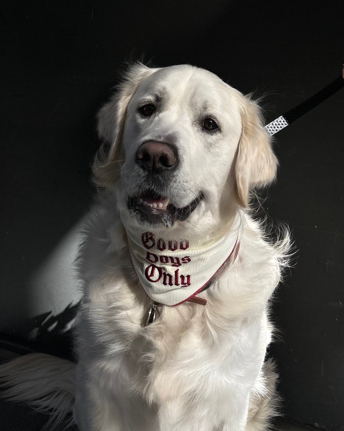 The Willie Bandana - For the love of dogs