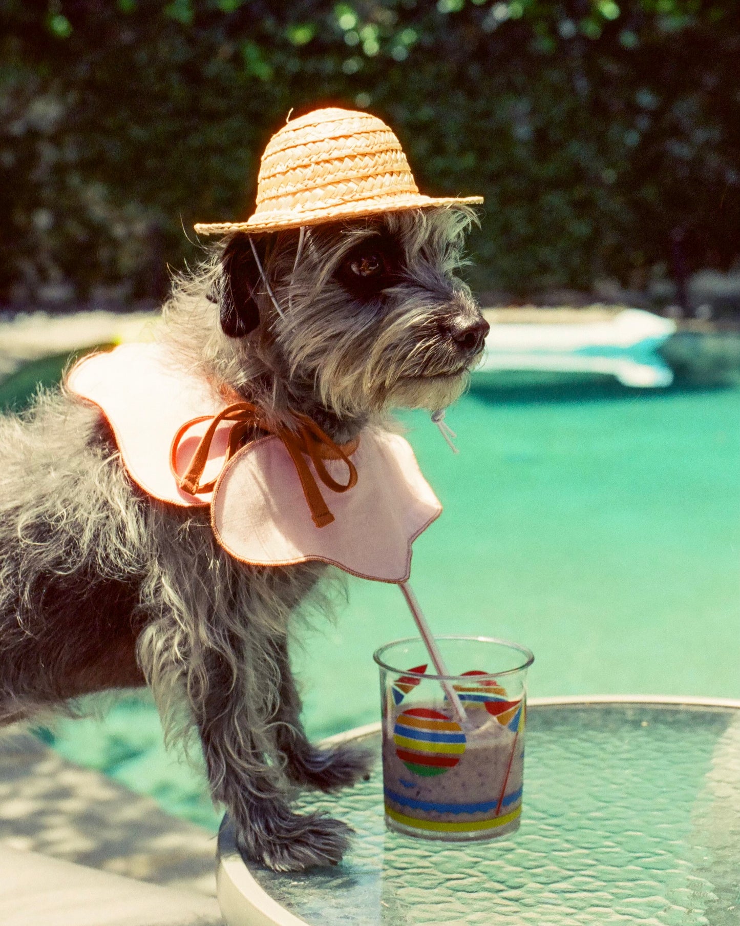 The Reversible Wanda Collar- Sunset