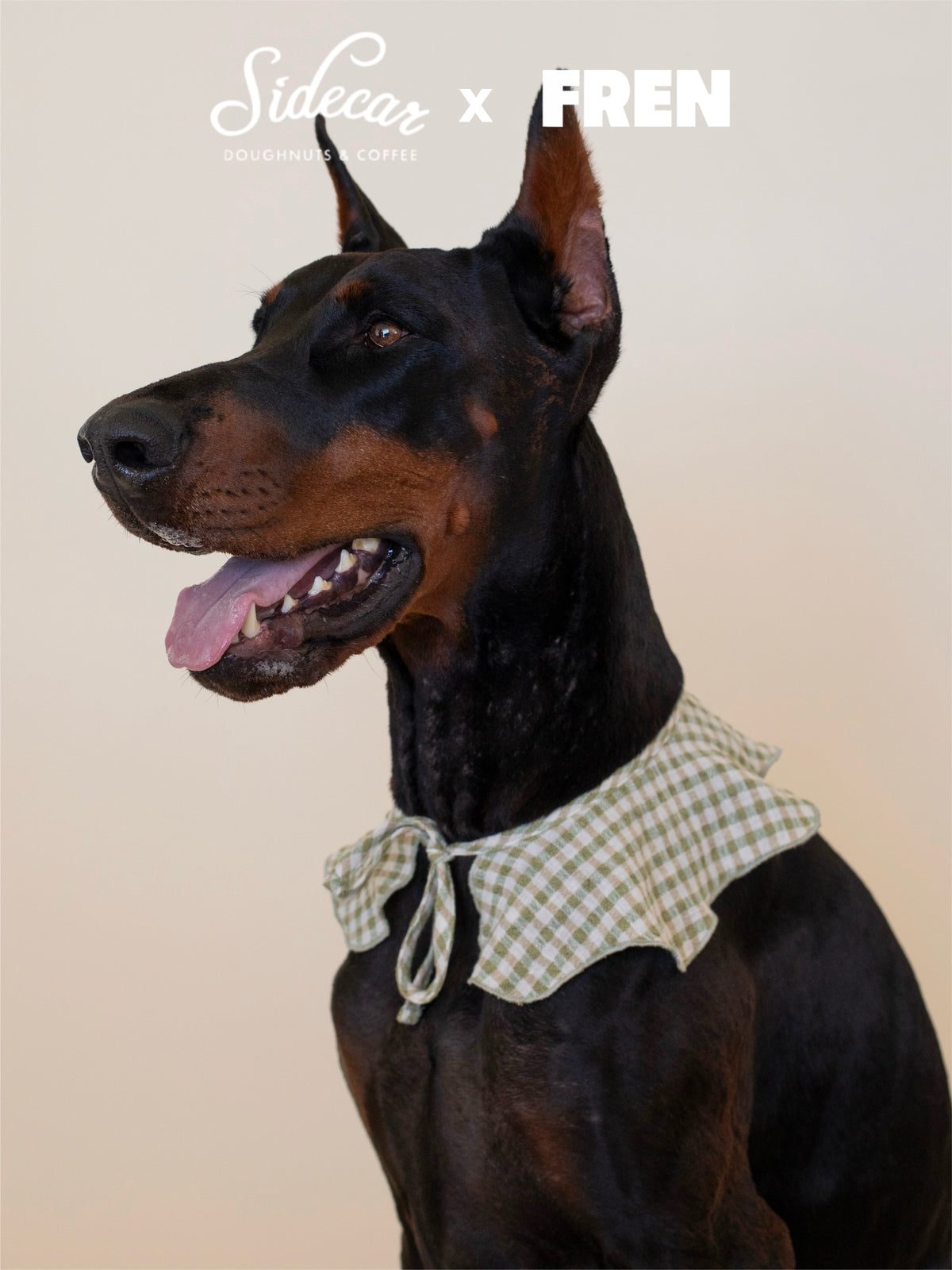 The Wanda Collar x Sidecar