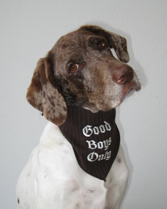 The Willie Bandana