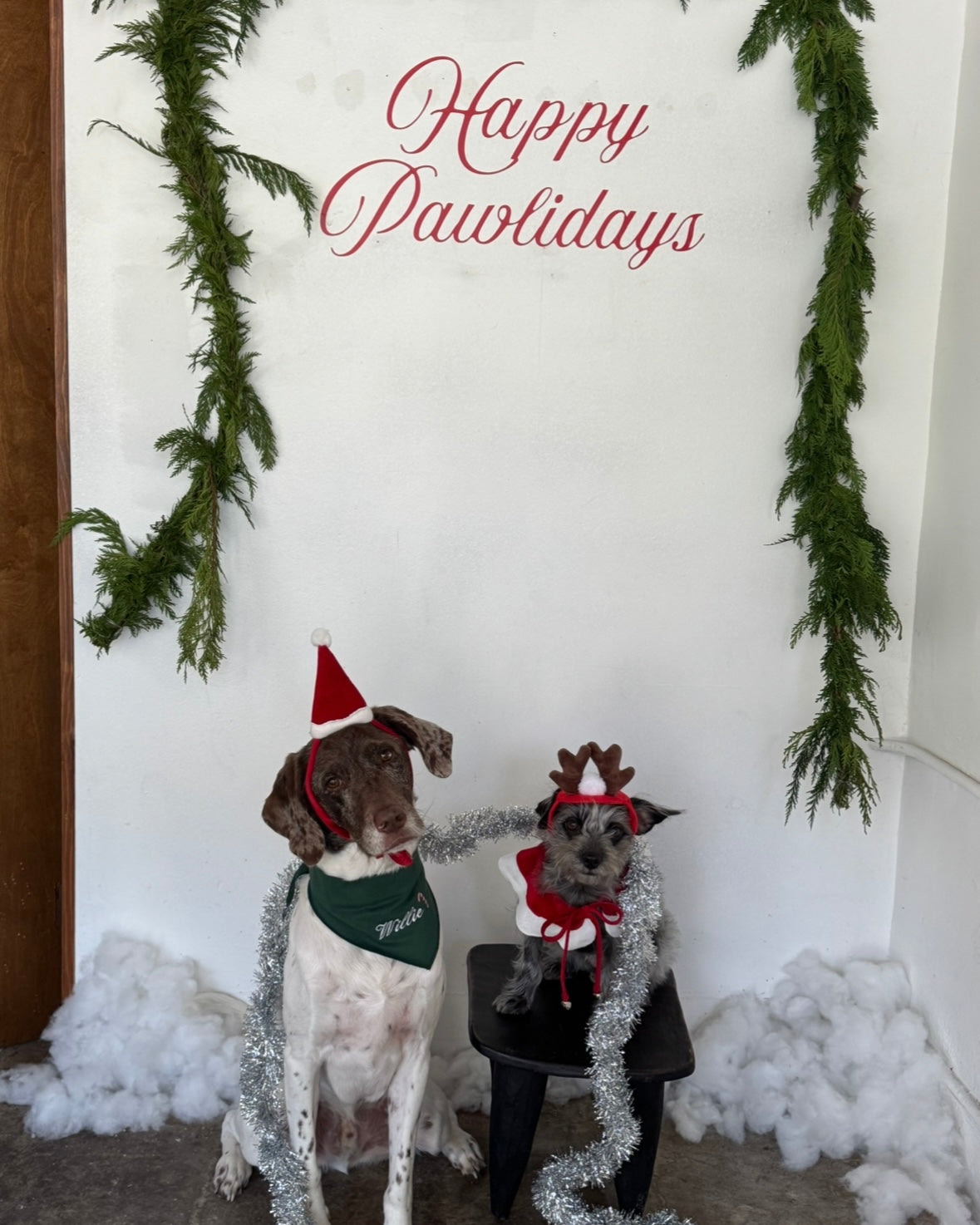 The Fren Bandana- Mistletoe