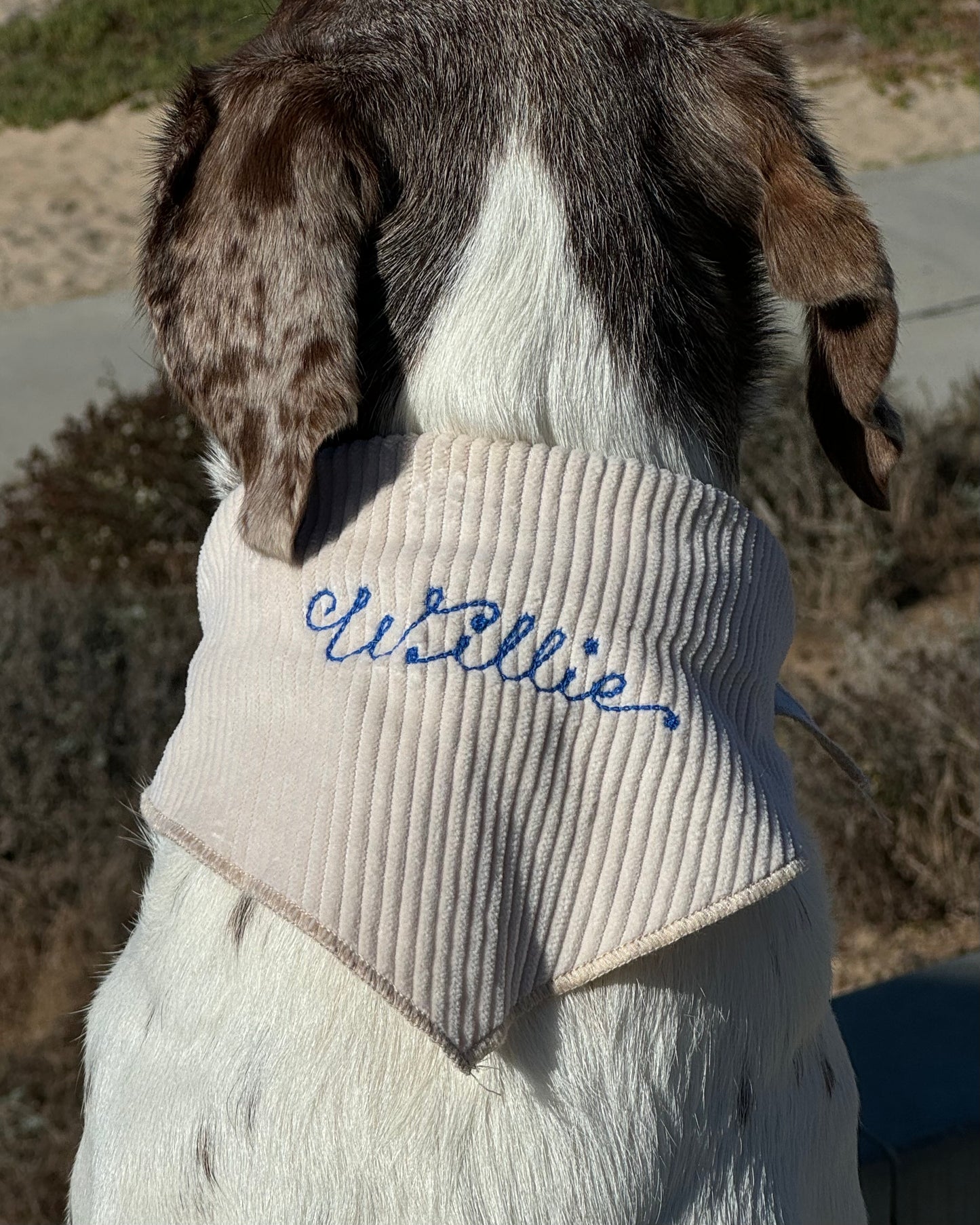 The Fren Bandana