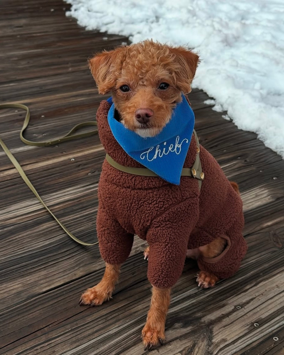The Fren Bandana