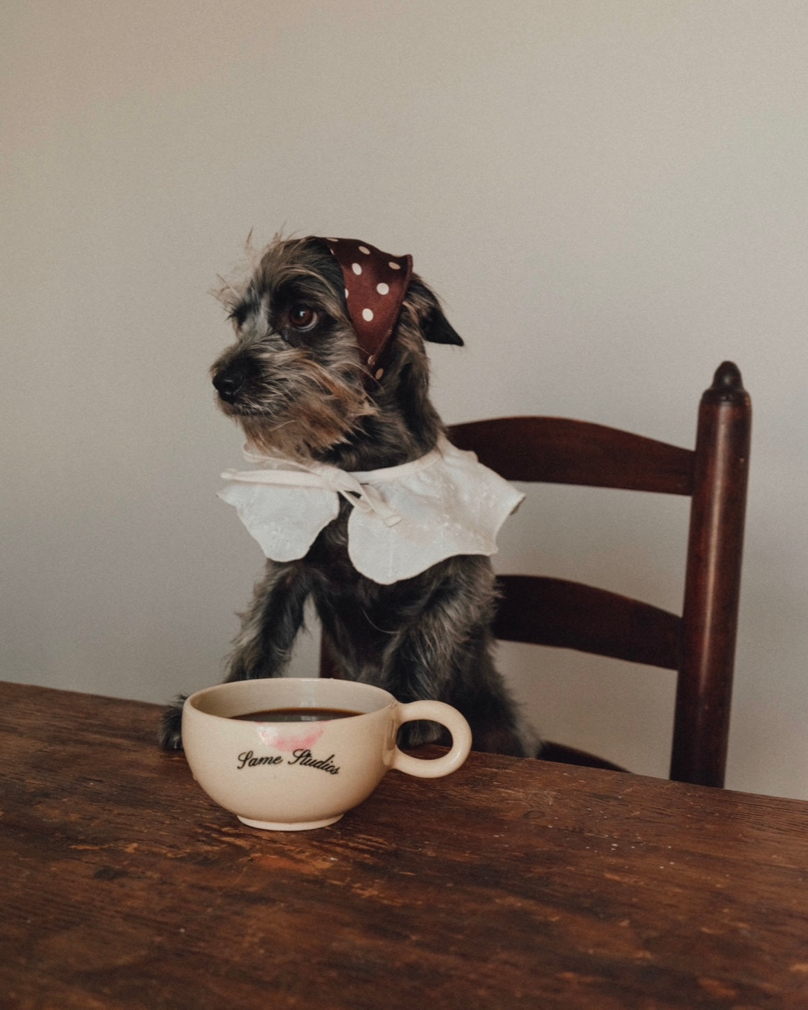 The Wanda Collar- Classic