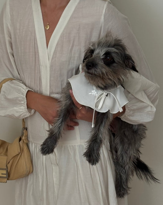 The Wanda Collar- Classic