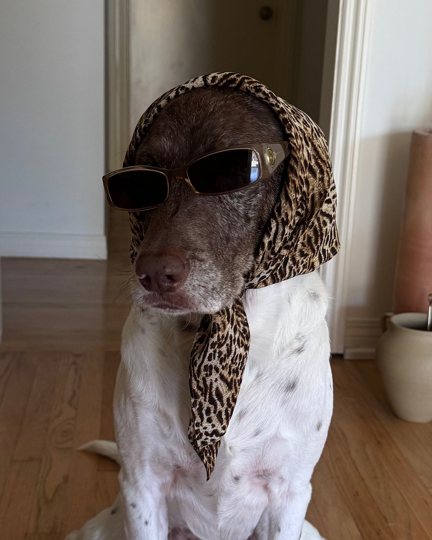The Honey Headscarf- Cheetah