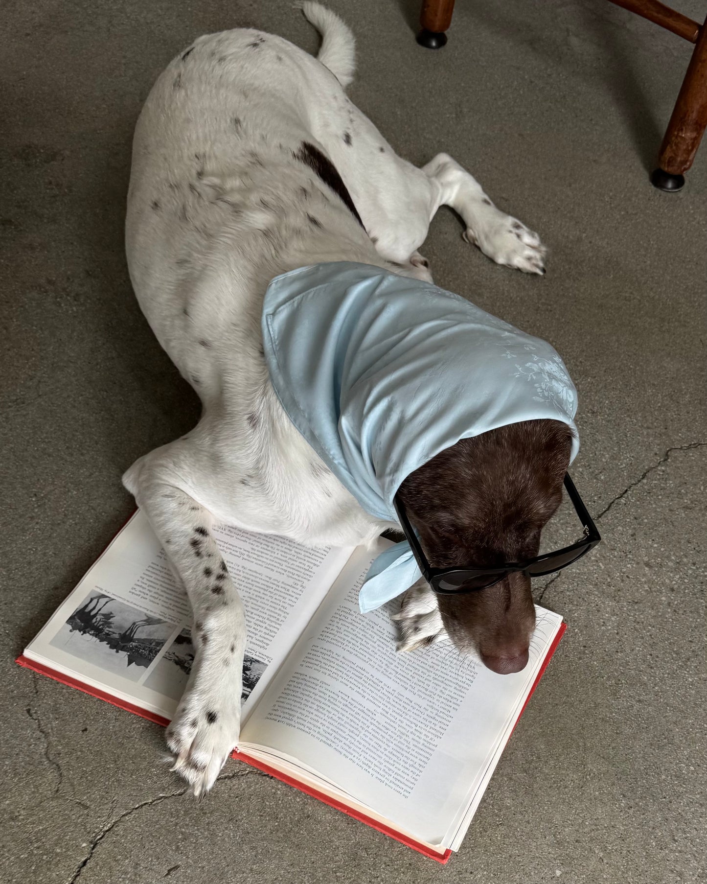 The Honey Headscarf- Bucatini