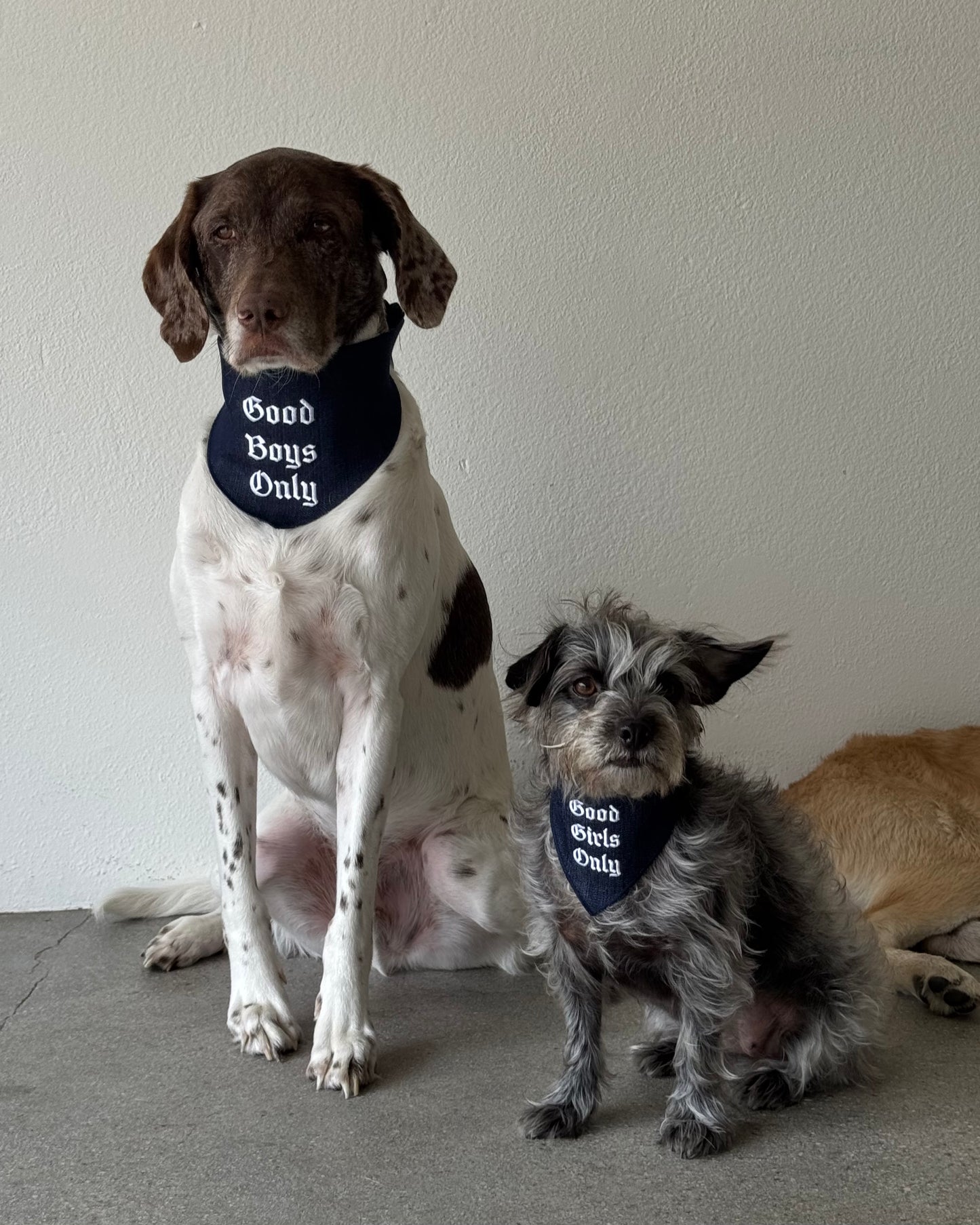 The Willie Bandana