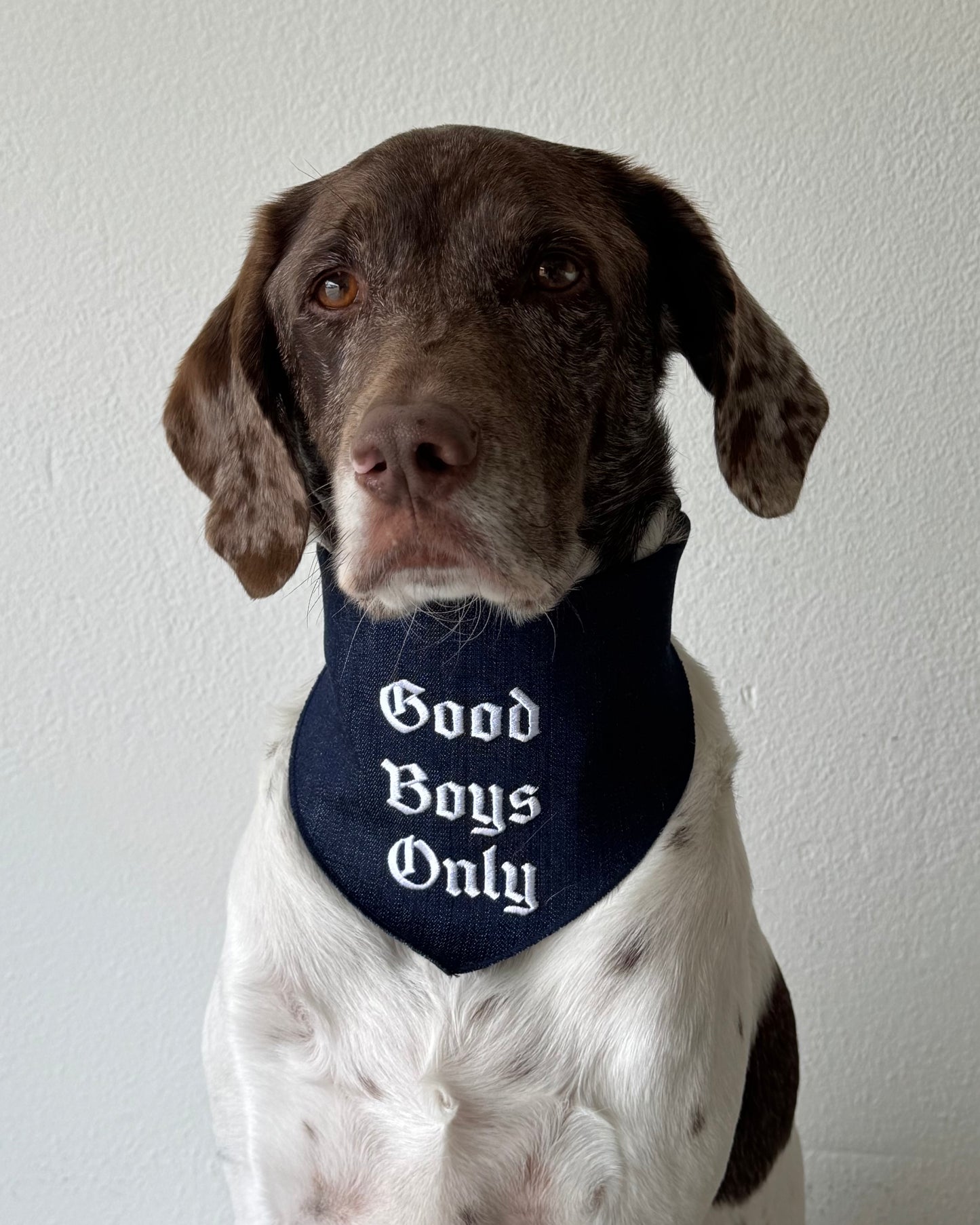 The Willie Bandana