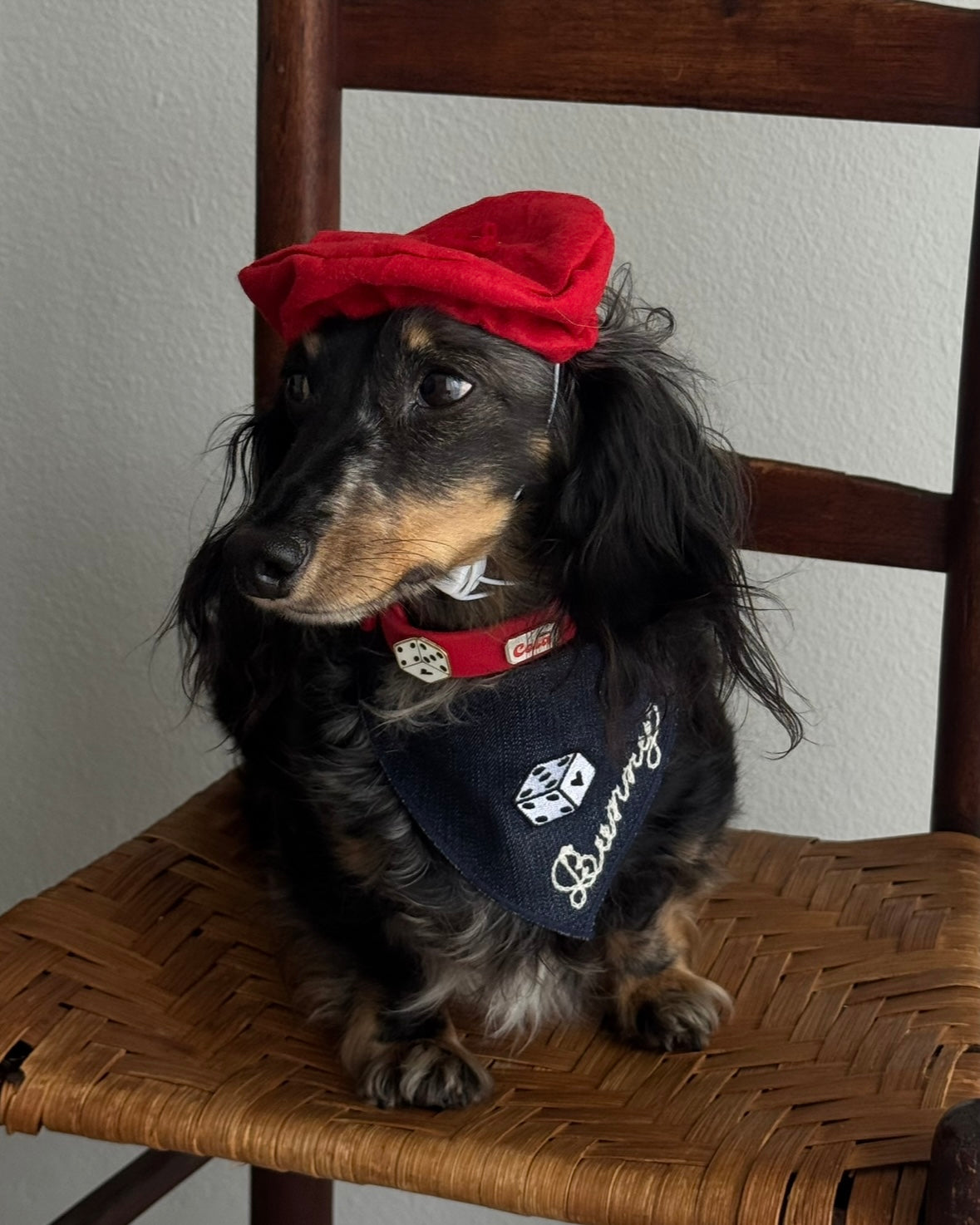 The Fren Bandana x Furei