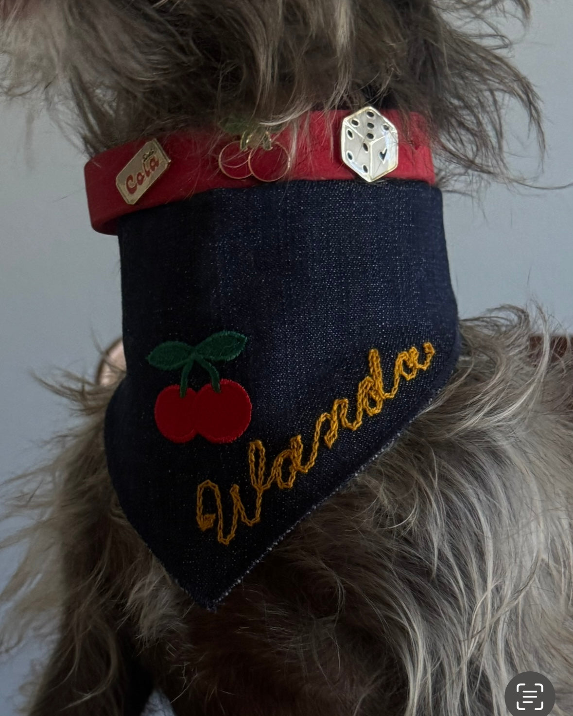 The Fren Bandana x Furei