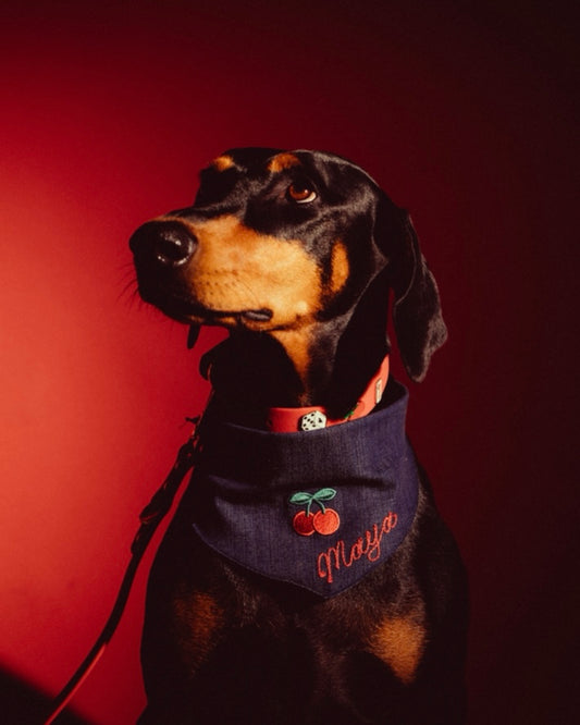 The Fren Bandana x Furei