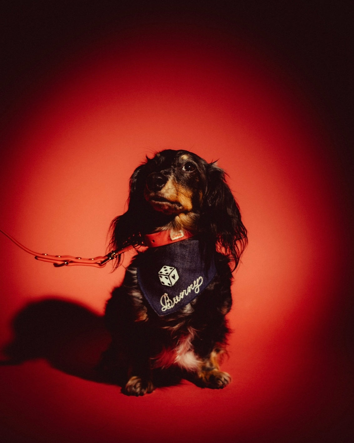 The Fren Bandana x Furei