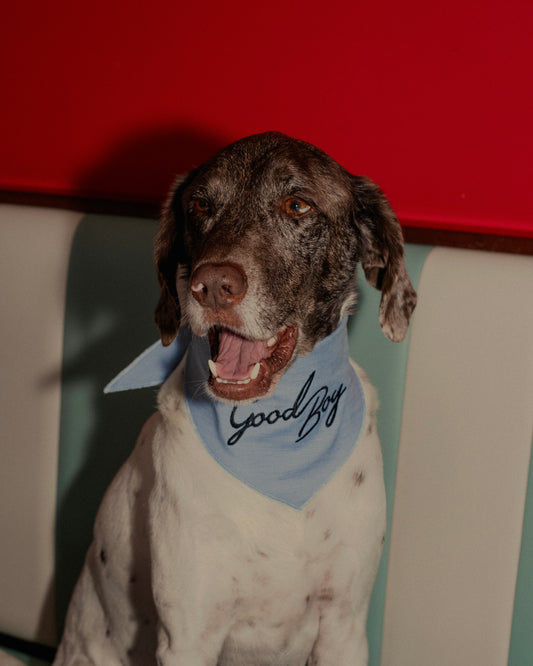 The Fren Bandana x Monty's