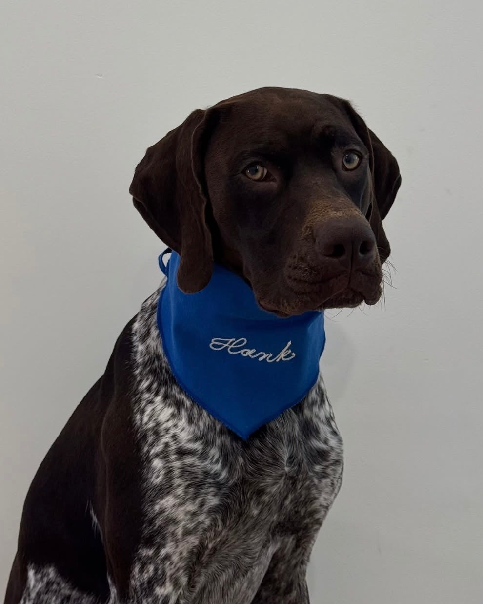 The Fren Bandana- Blueberry