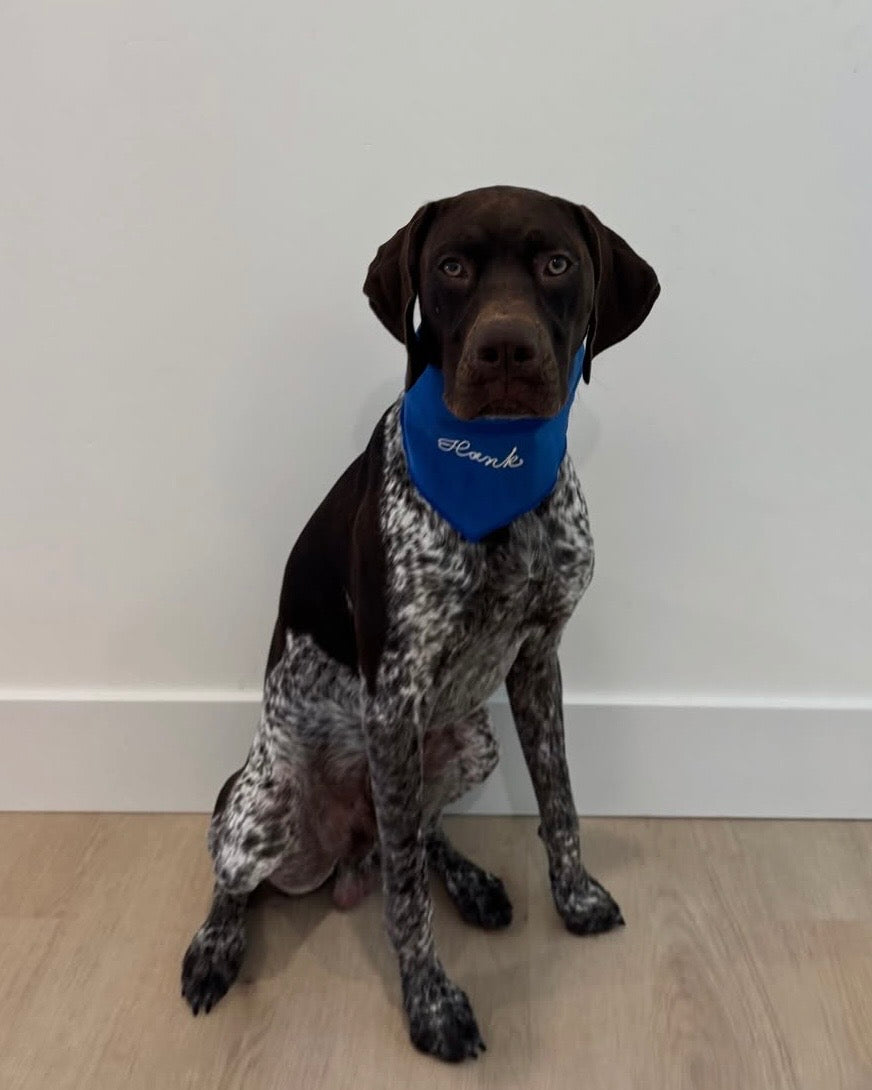 The Fren Bandana- Blueberry