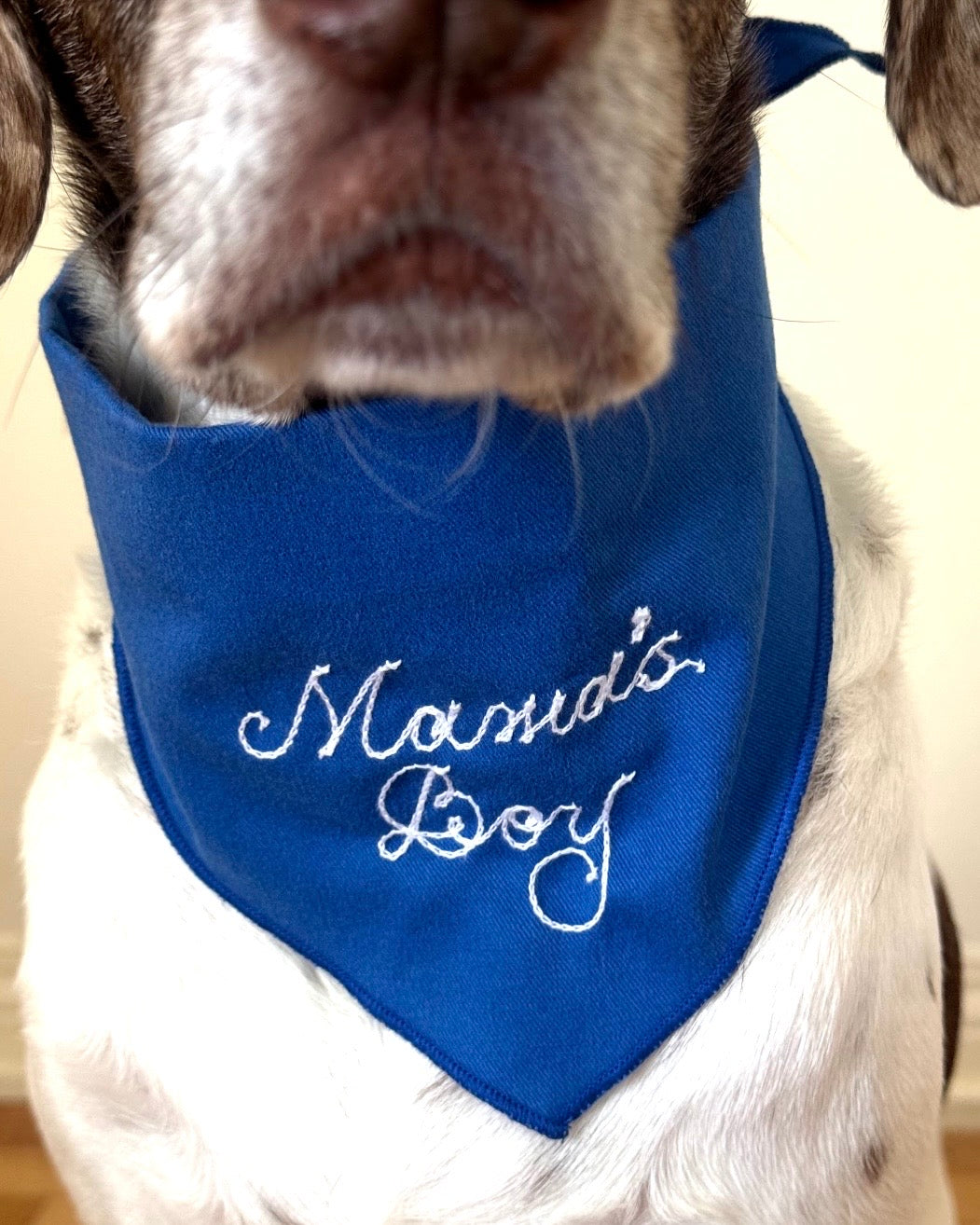 The Fren Bandana- Blueberry