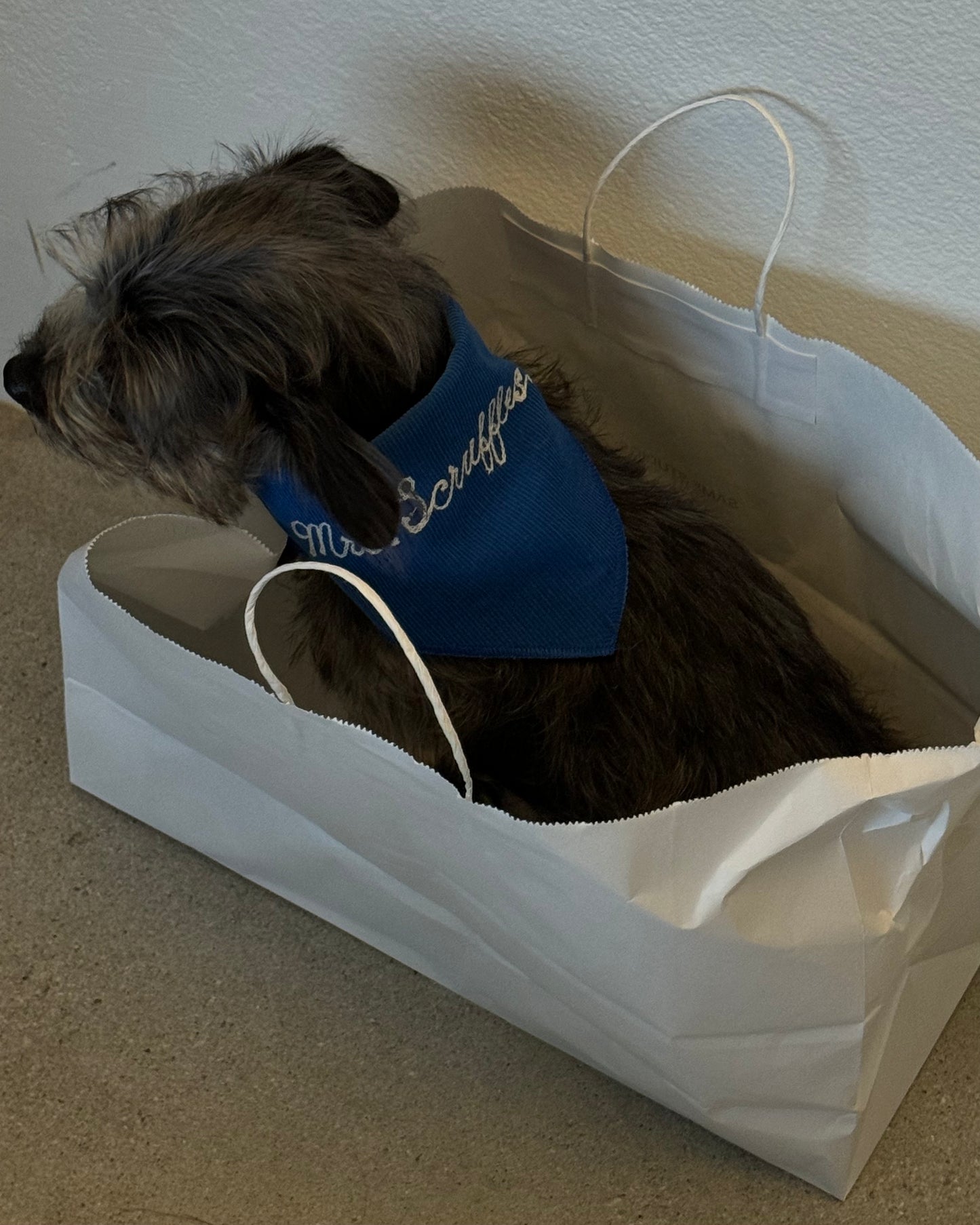 The Fren Bandana