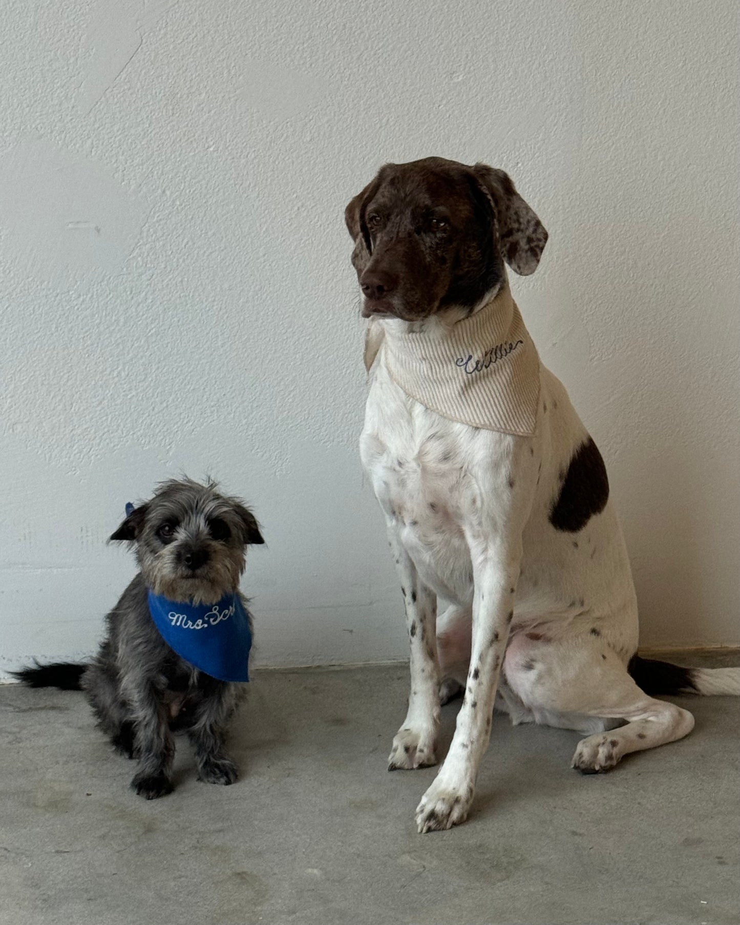 The Fren Bandana
