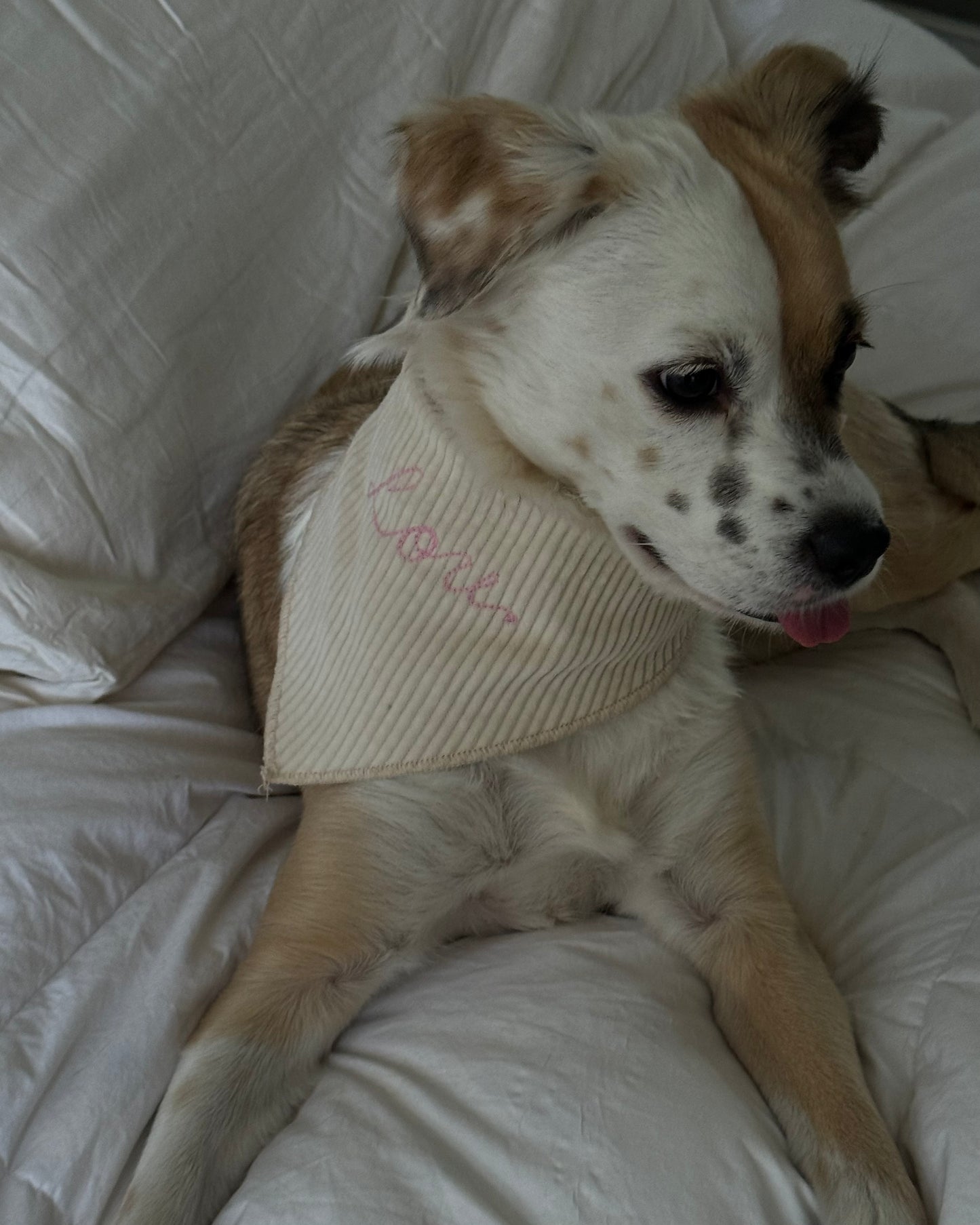 The Fren Bandana