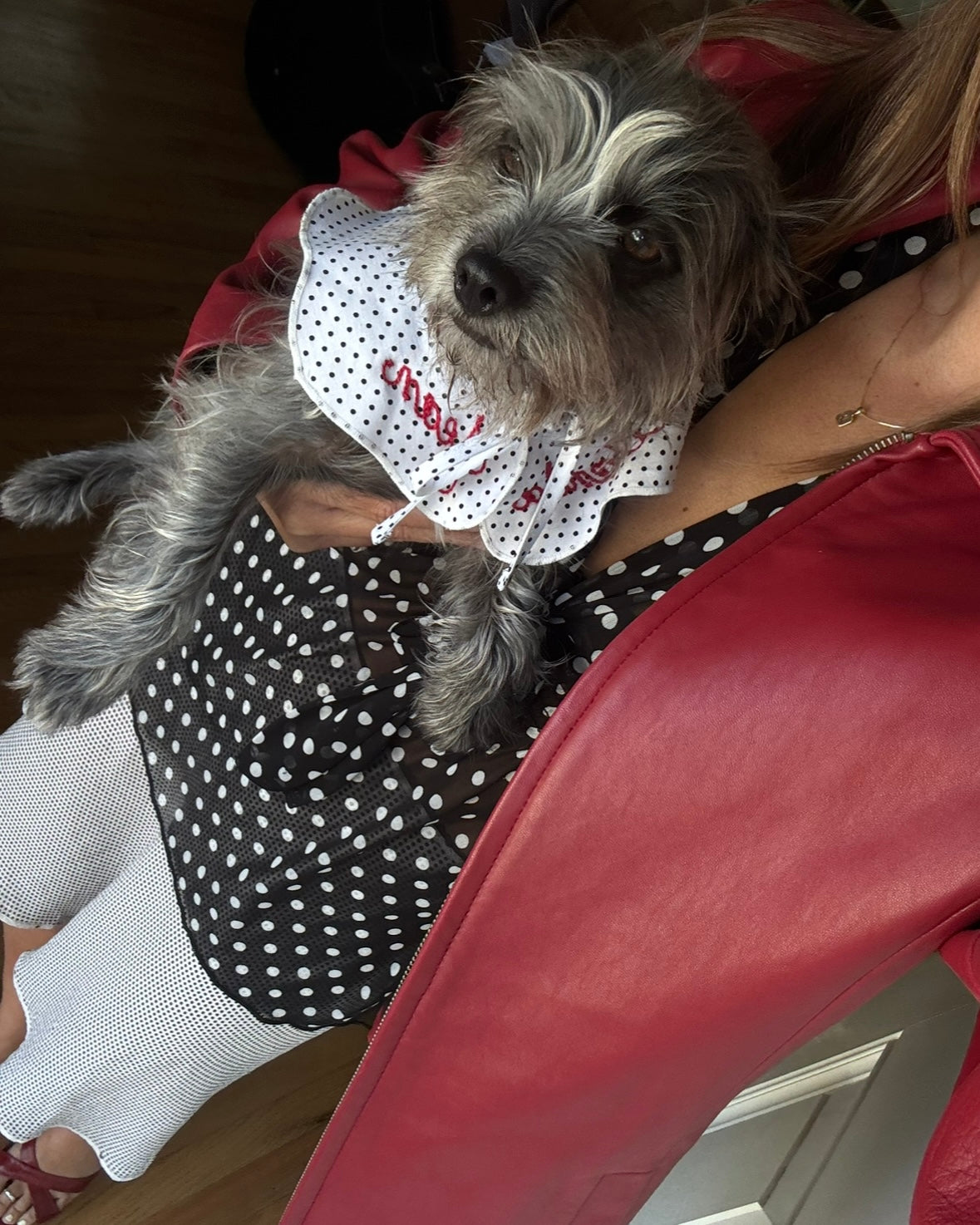 The Wanda Collar- Dottie