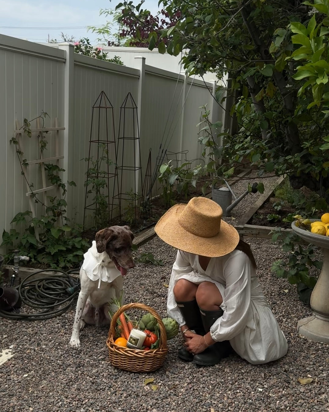 No Dogs in the Garden Candle