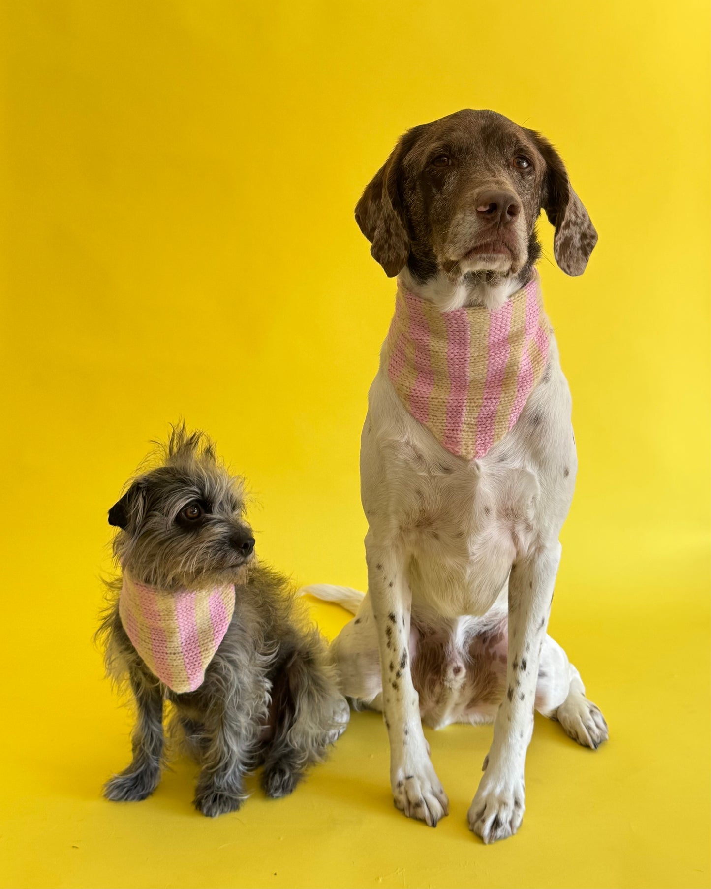 The Juni Scarf (For your pet)