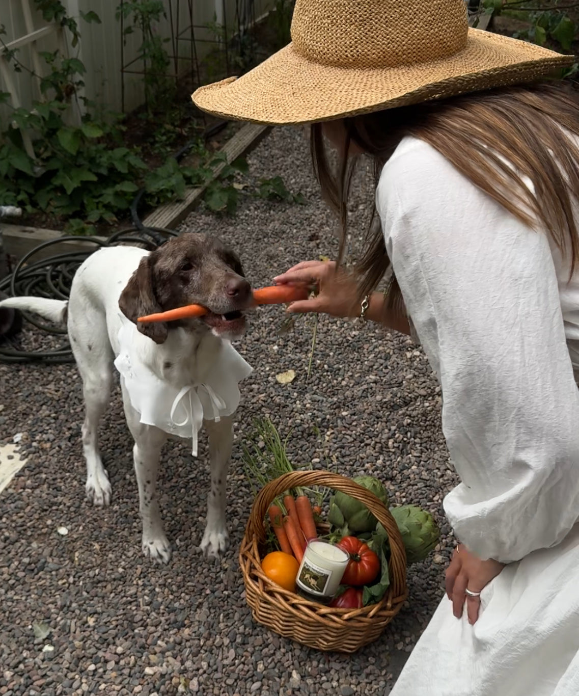 No Dogs in the Garden Candle