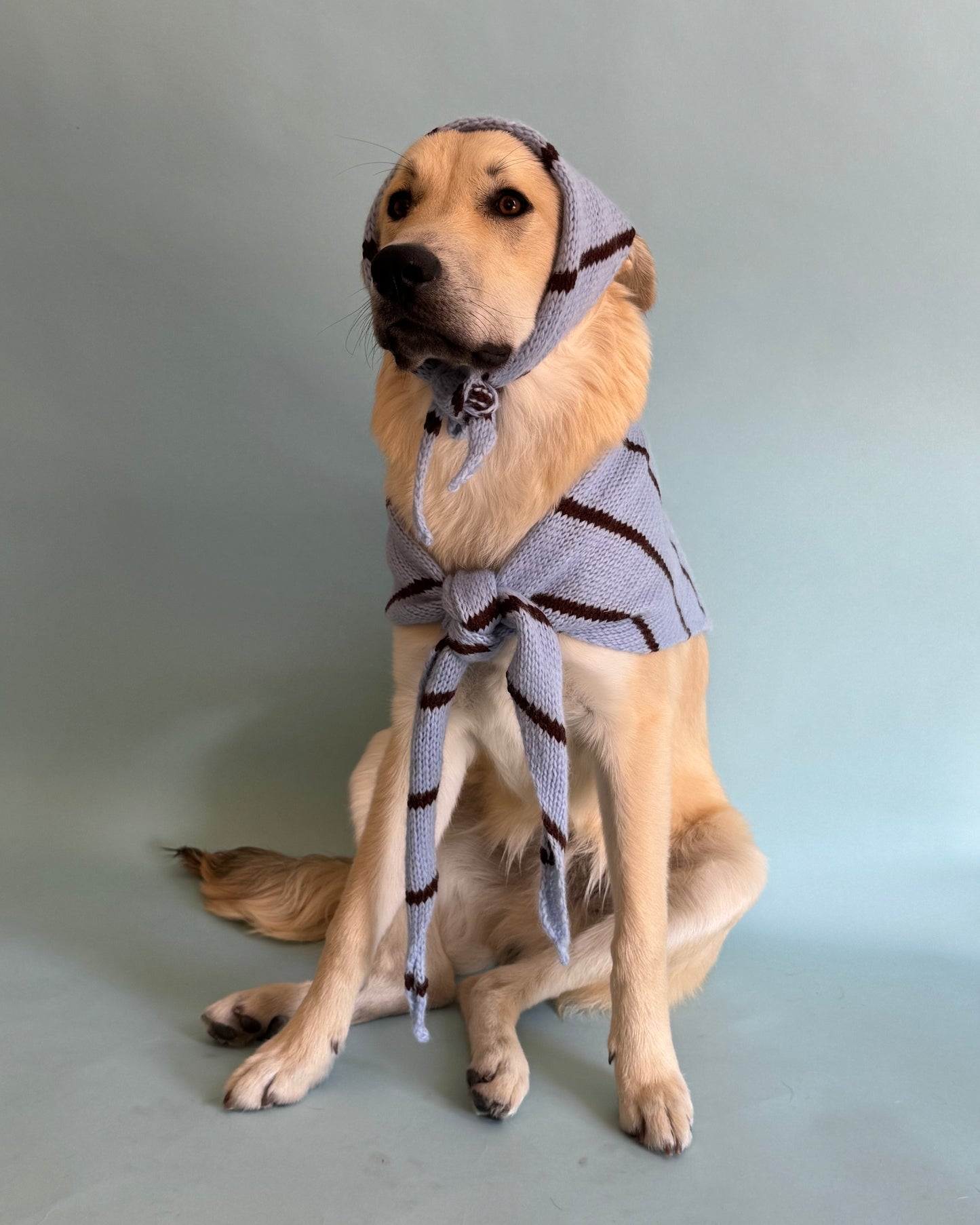The Juni Scarf (For your pet)