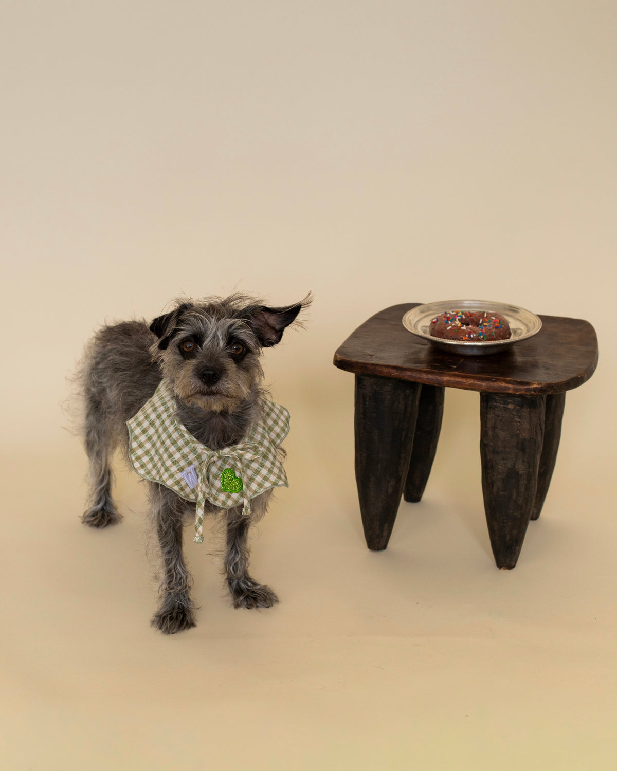 The Wanda Collar x Sidecar