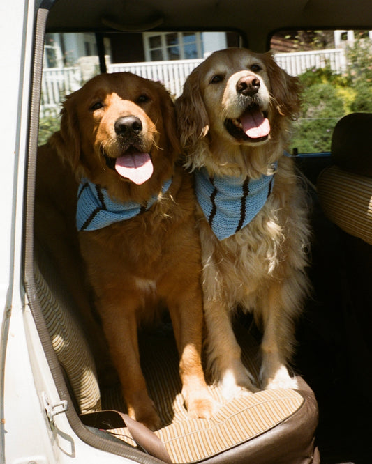 The Juni Scarf (For your pet)