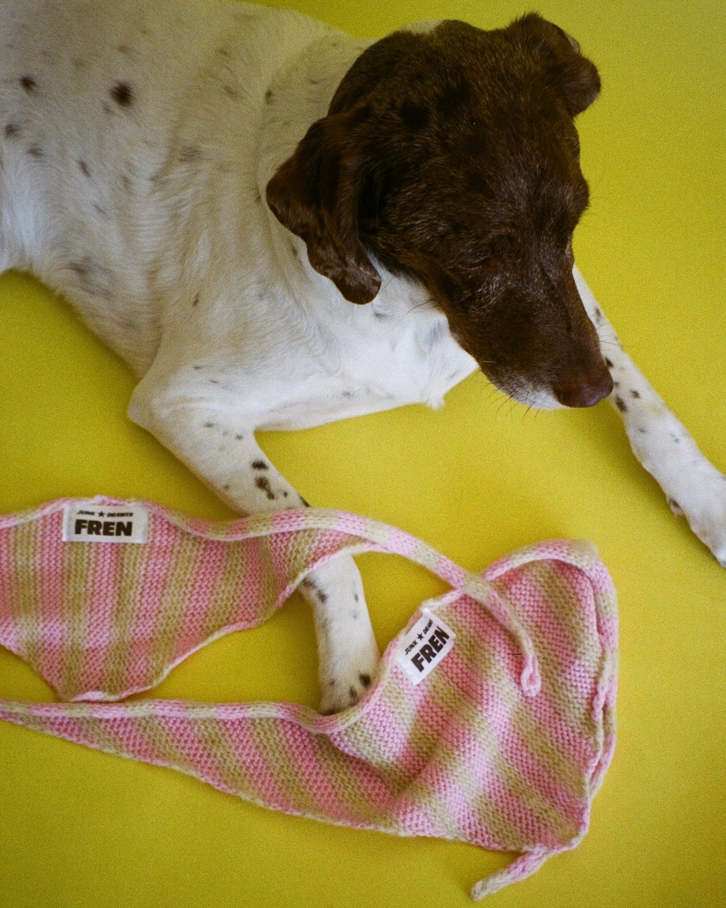 The Juni Scarf (For your pet)