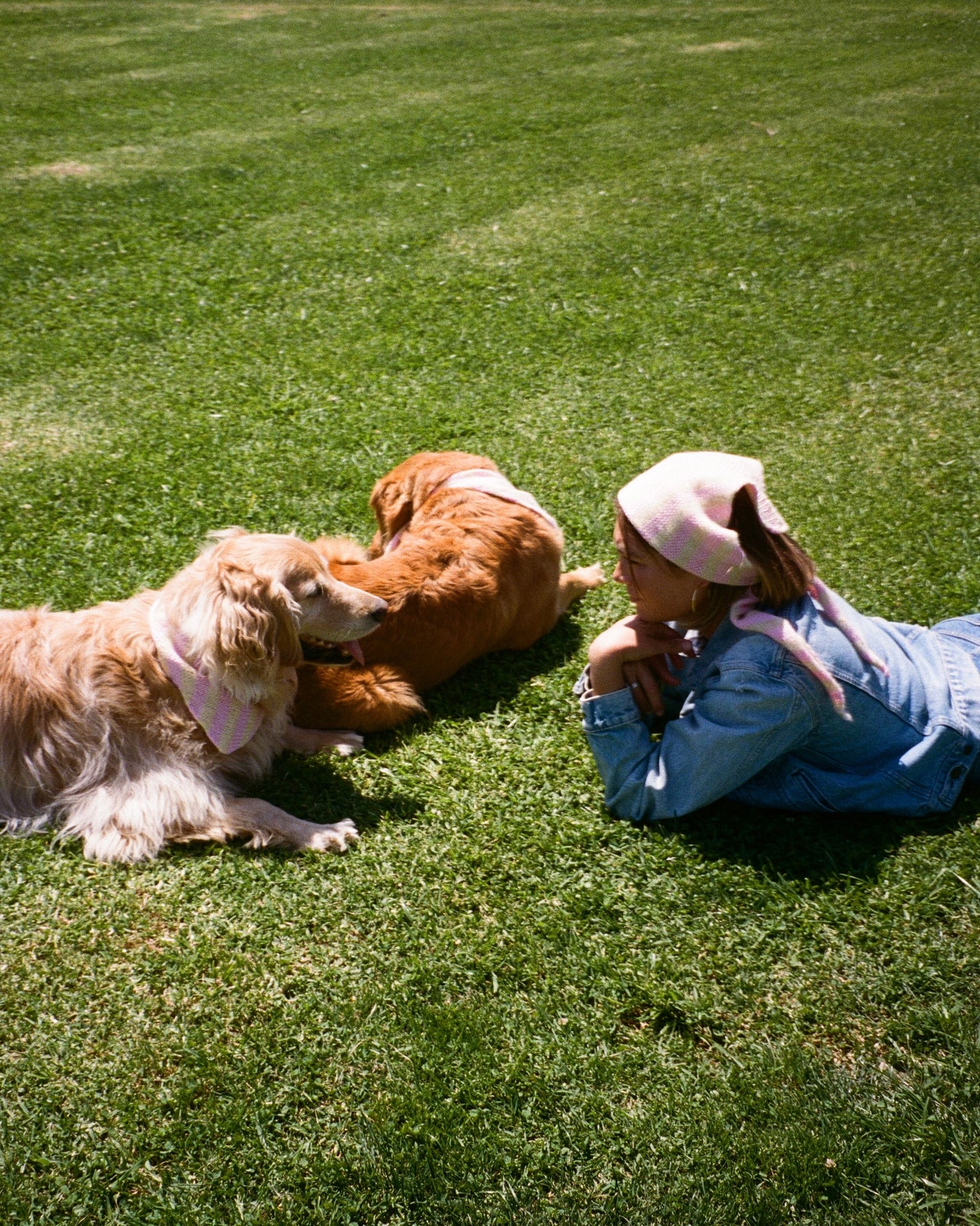 The Juni Scarf (For your pet)