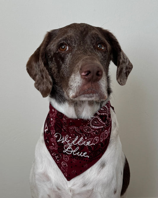 The Fren Bandana- Paisley