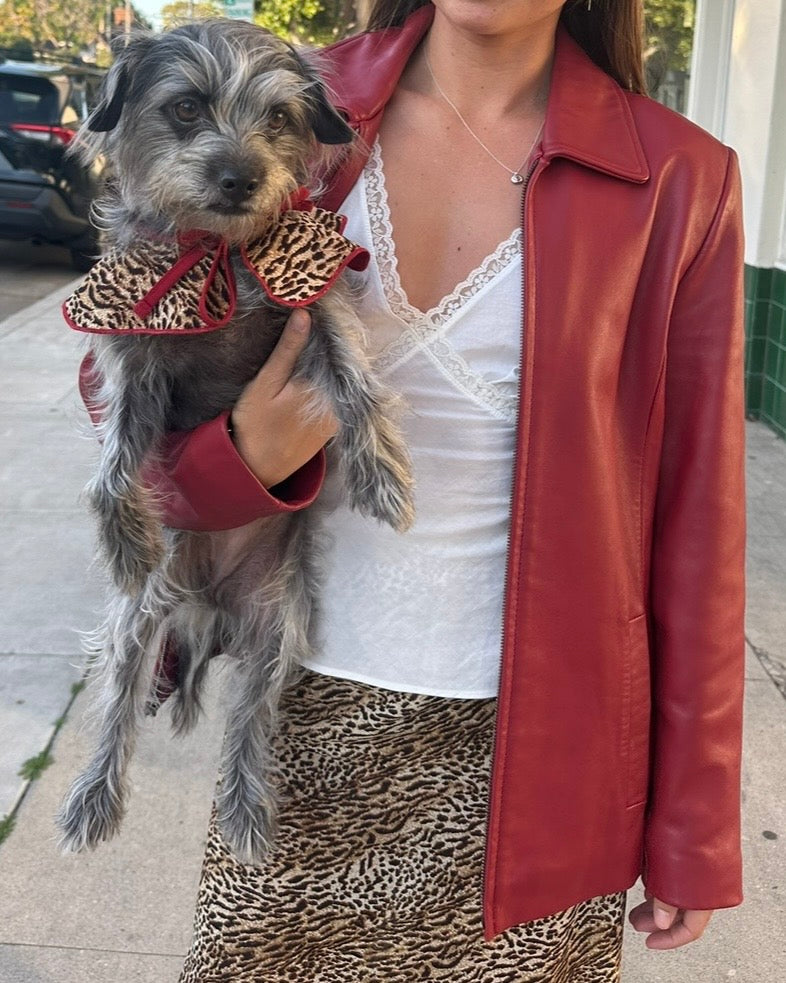 The Reversible Wanda Collar- Cheetah