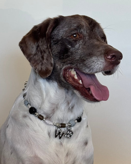 The Georgi Necklace (For your pet)
