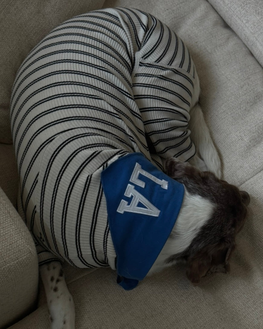 LA Dog Bandana