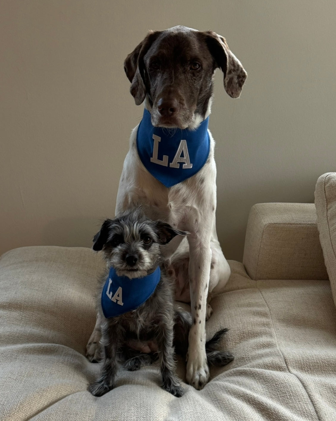 LA Dog Bandana